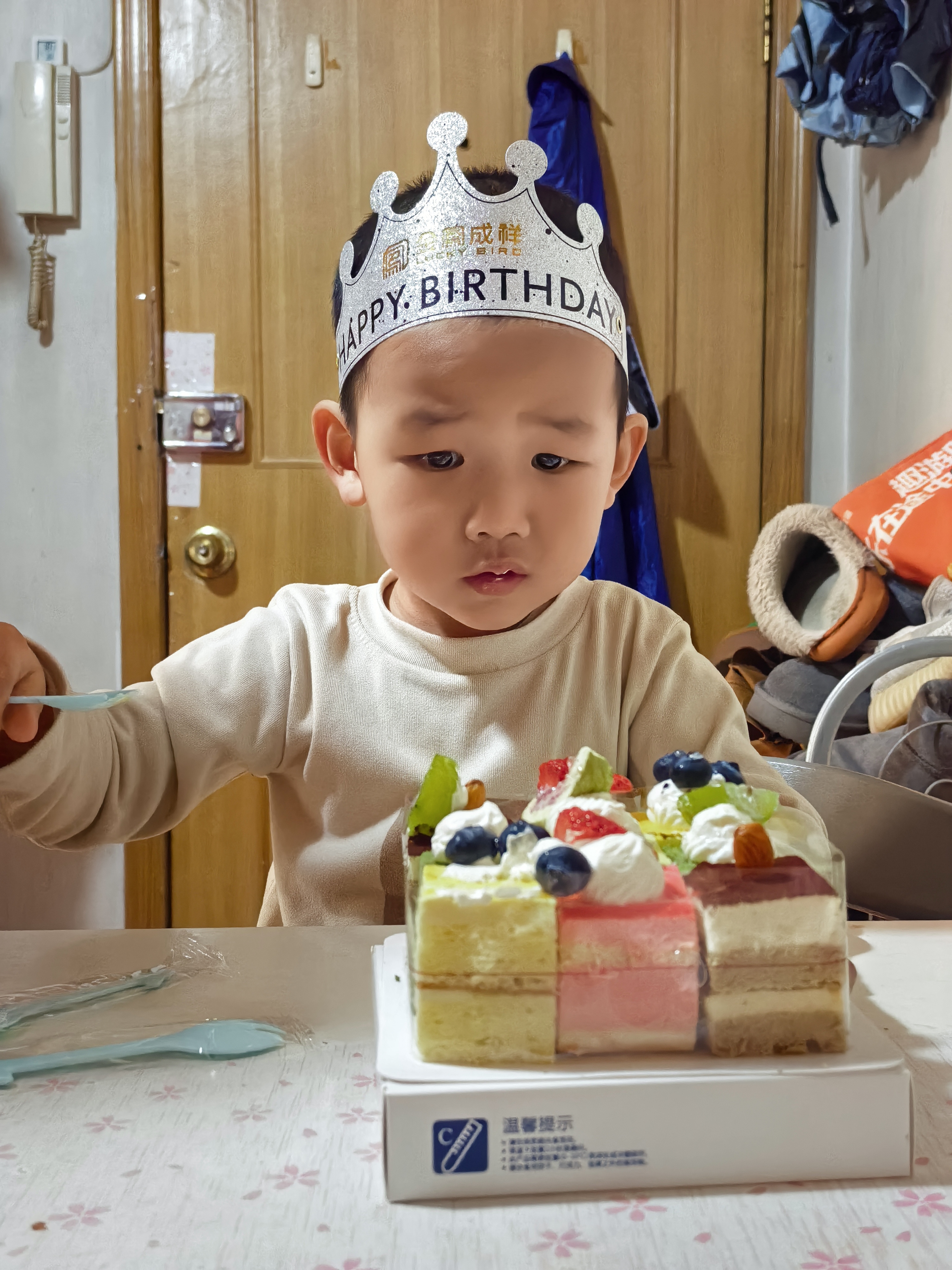 熊一只专注吃蛋糕的瞬间